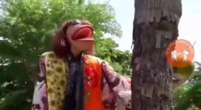 Apaixone-se com Pablo Peter