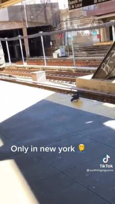 Just witnessed an execution