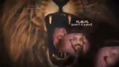 تبقى الأسود اسود والكلاب كلاب 😎😎😎👍🏻💪🏻💪🏻💪🏻🇸🇦🇸🇦🇸🇦🇸🇦🔥🔥🔥🔥🔥