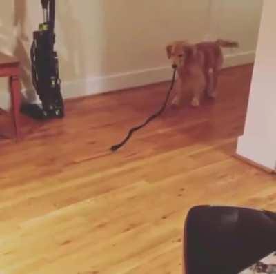 Trying to make sense of the world