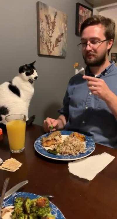 What sorcery is this, human?!