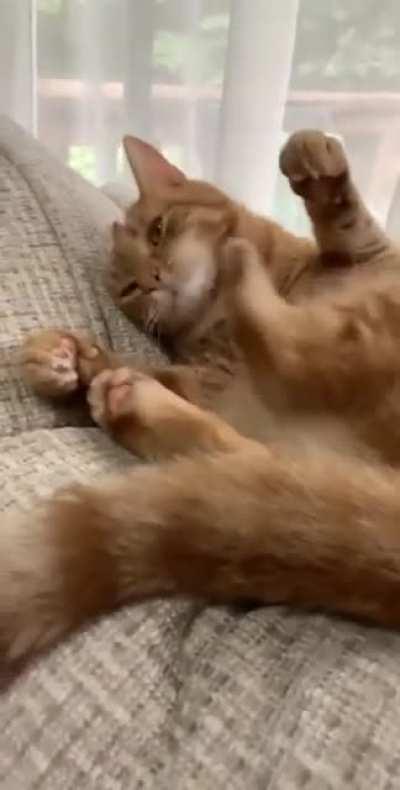 Раздвоение личности