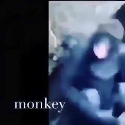 Become monkey
