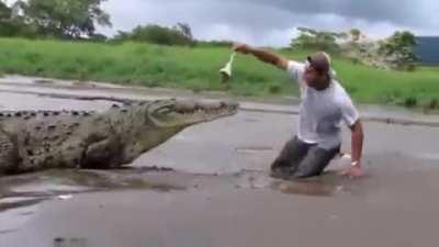 Let's Stand in Quicksand and Tease the Dinosaur!