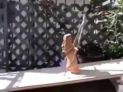 🗿Vine Boom Sound Effect🗿