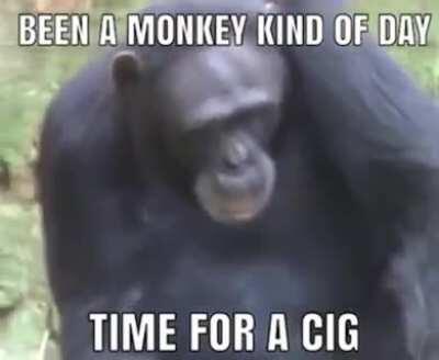 Tirando facha 😎😎