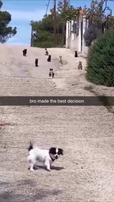 Bro made the best decision