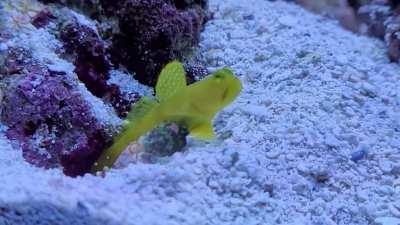 Stealth roll into the enemy lair was perfectly executed.