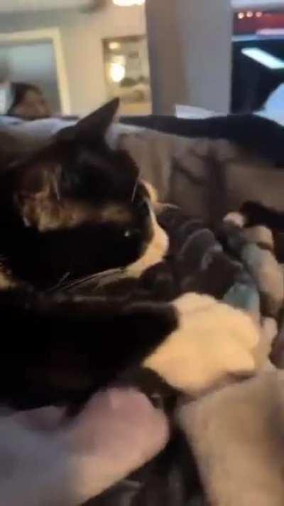 why do I like making biscuits?