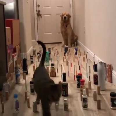 Challenge of the century