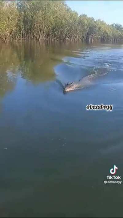 I think this fits here