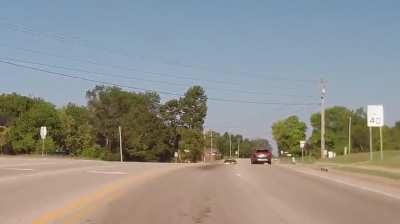 Deer runs into car and activates spin move