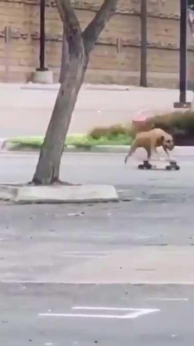 Skateboarding Duo