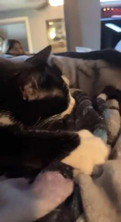 Training to be a good baker.