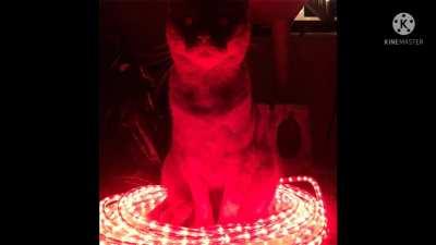 Ok so what song is this?