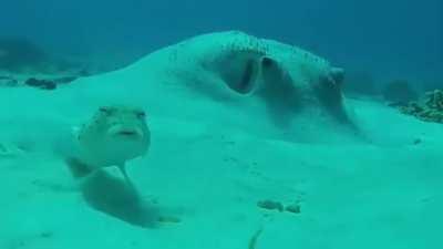 POV: You got flamed for getting kills with ult.