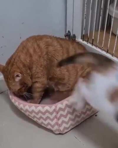 Oh, you are leaving?