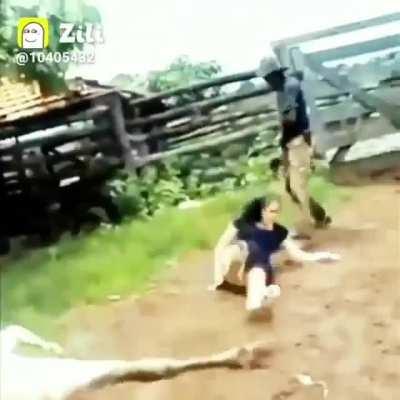 here let me pet you..