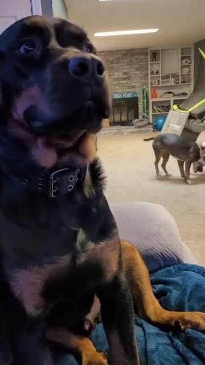 When you're trying your best to stay out of the drama