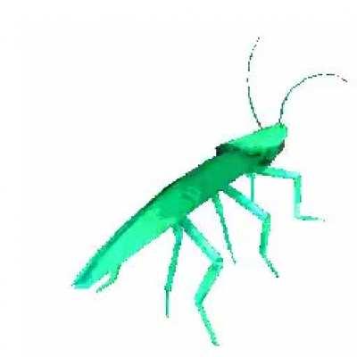 For those who cant find a picture