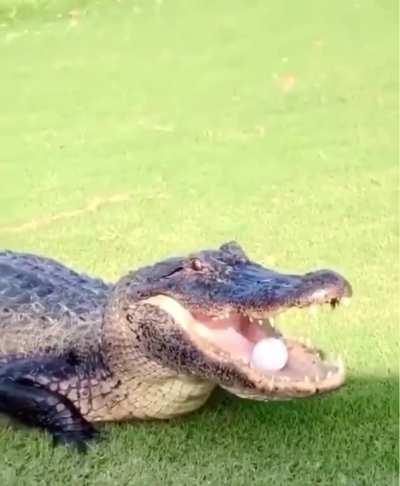 If you want it come and get it