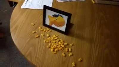 [Poetry] Way Too Many Fish