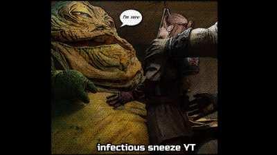 Leia's Capture web-comic