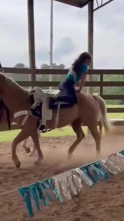 I'm not like the other horse girls