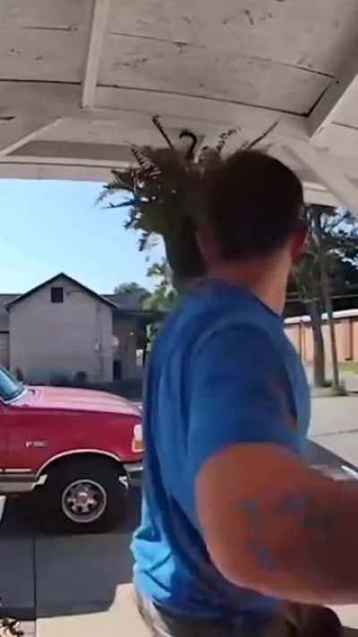 Not in line with feng shui