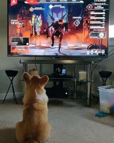 Doggo is probably Loba main