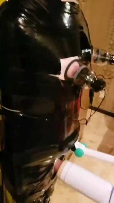 Mummification + Nipple Stimulators + Automatic Cock Milker = One Happy Male Cow