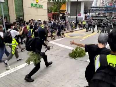 Riot police outnumbered by plant-throwing protesters