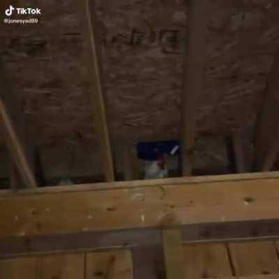 Credit: Jonesyad89 on tiktok