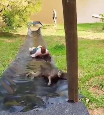 He fought a good fight, but at the end he made a heckin mistake