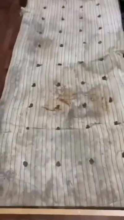 Footage from Ingushetia, where the newly arrived russian mobizans were settled.