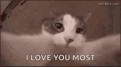 one of the last thing my dad sent before he died last year he sent it to me on my bday