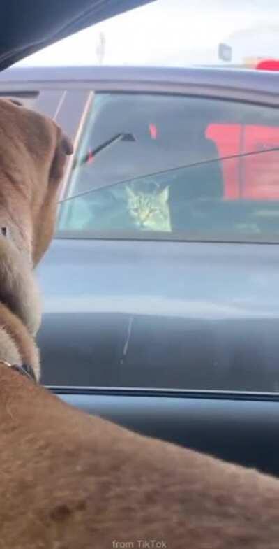 I'm not even here. You're hallucinating