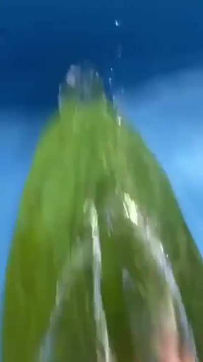 teste de aprovação pra gio