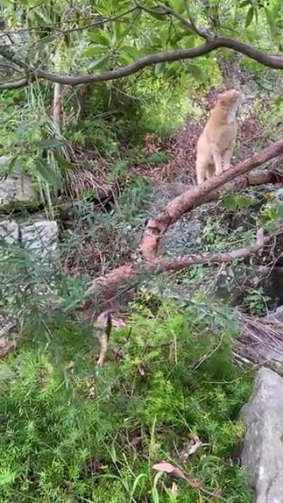 He’s okay I promise 😂