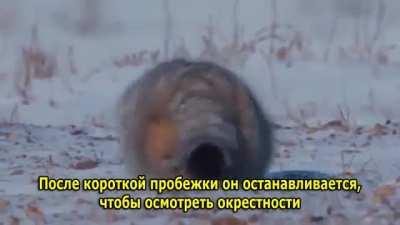 Нет ну правда а