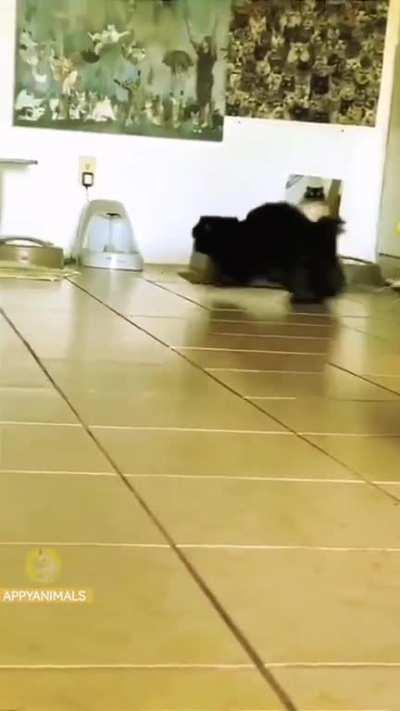 so adorable AHAHAHHAHA!!! so cute!!