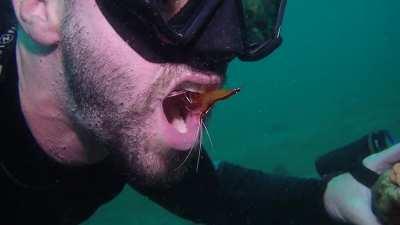 Imagine, it went into his throat