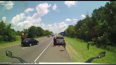 Frogger, But In Real Life!