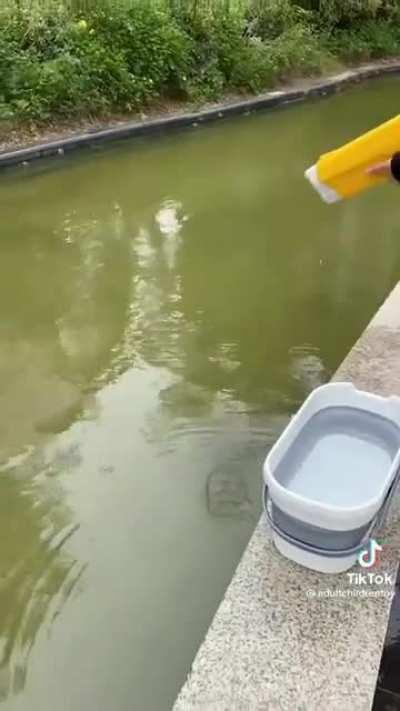 Didn't know I needed this until now.