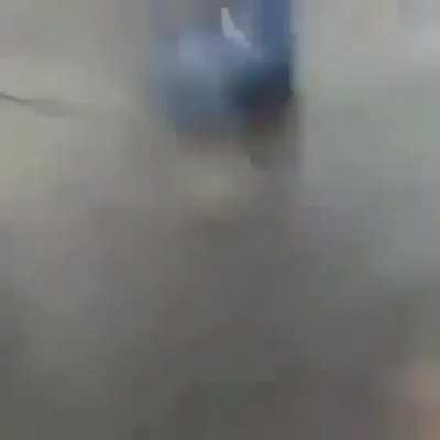 You are definitely an imbecile