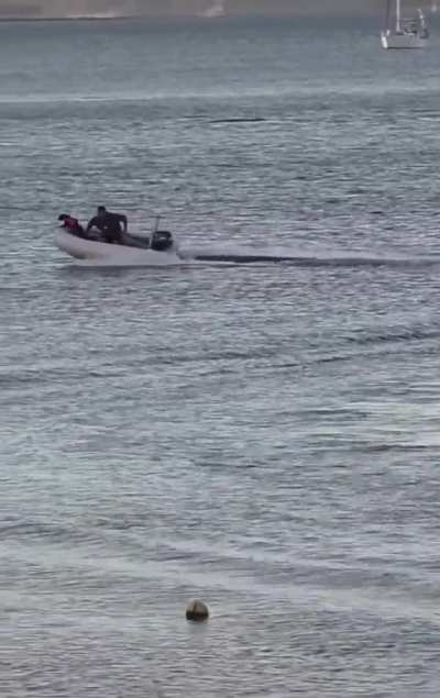 The pirate flag!!..😭