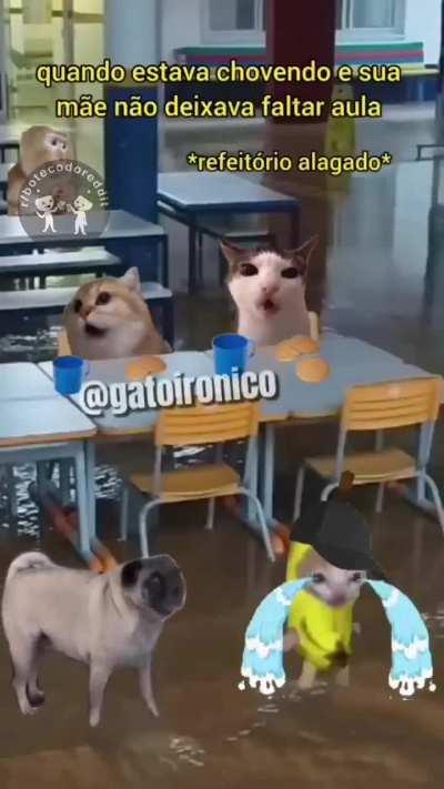 Trauma relembrado com sucesso 