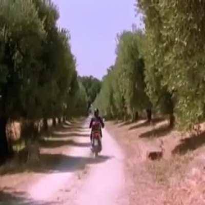 Secret art of telling time