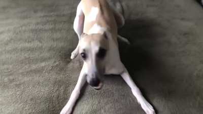 Why does she get crazy when I make the bed?