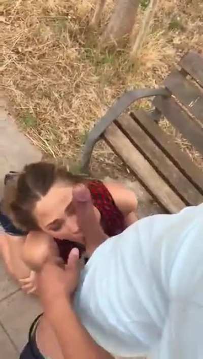 Babe Giving Head in The Park